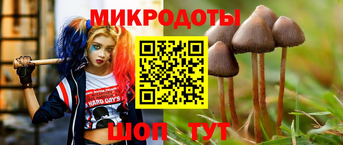 Ленинск-Кузнецкий  Галлюциногенные грибы мухоморы  Вход с VPN 